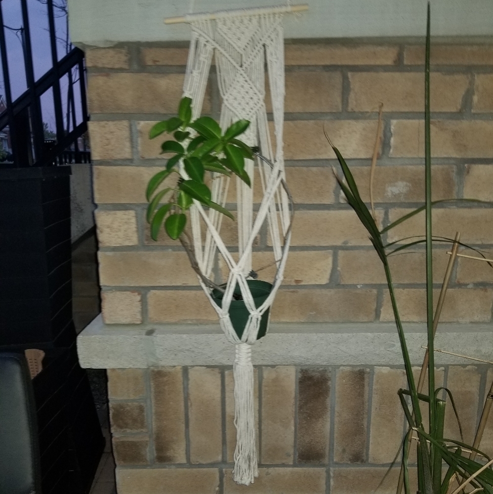 Macrame Plant Holder